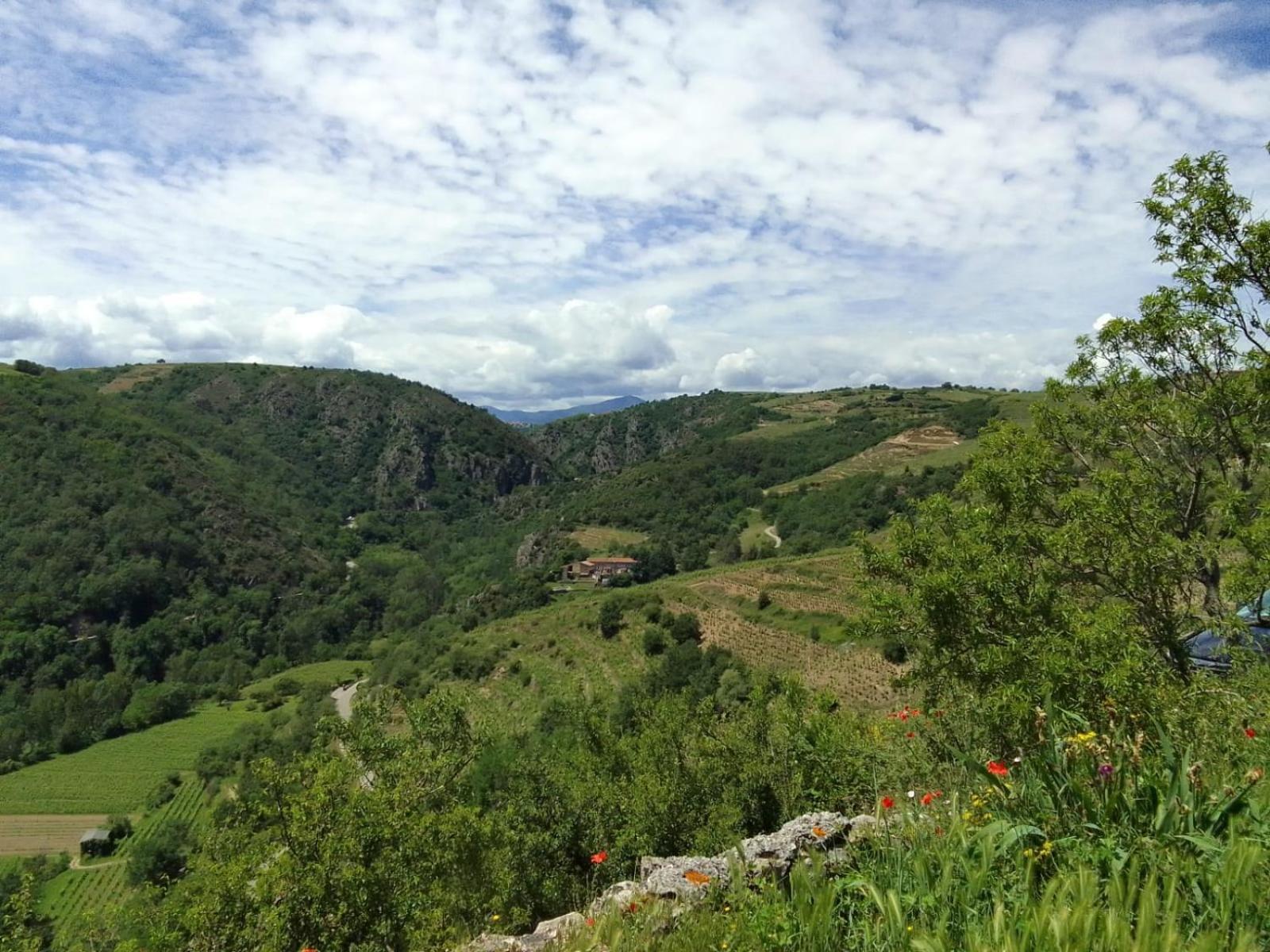 Gites De Revirand Sarras Buitenkant foto