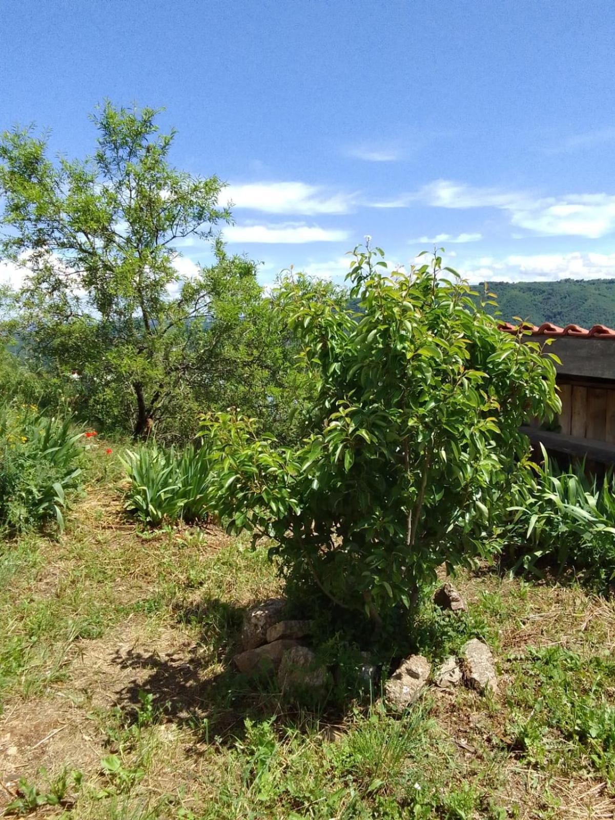 Gites De Revirand Sarras Buitenkant foto