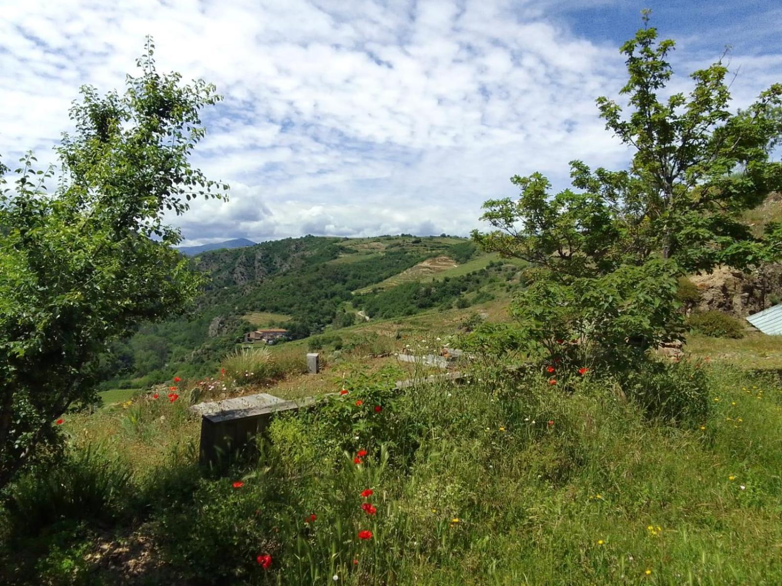 Gites De Revirand Sarras Buitenkant foto